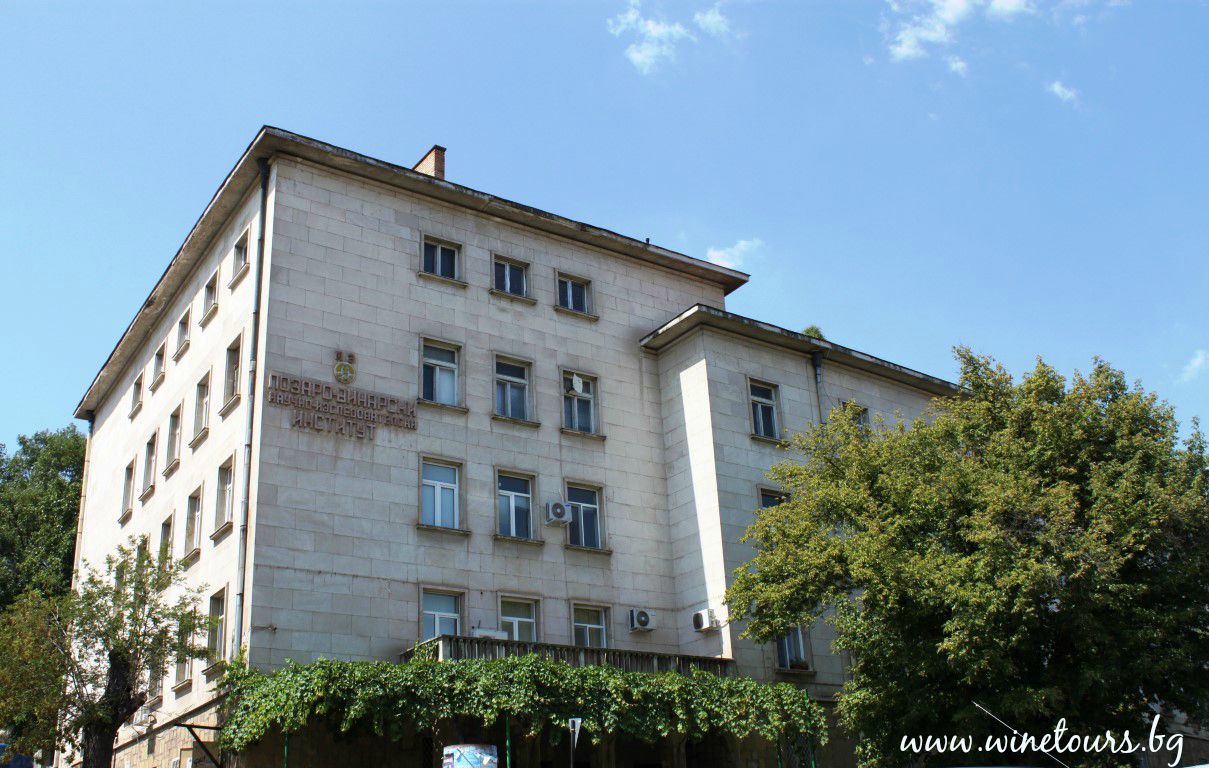 Institut po lozarstvo.jpg